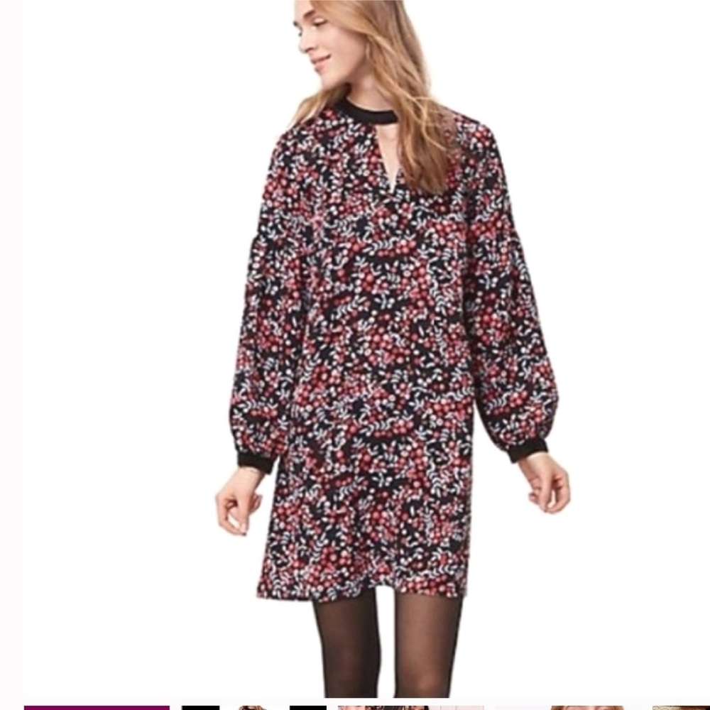 Loft Black Berry Print Velvet Trim  Shift Cutout Dress S
